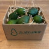Medium Hass Avocados Box of 9 in a cardboard box with the avo shop logo.