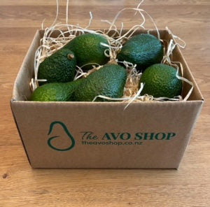 Medium Hass Avocados Box of 9 in a cardboard box with the avo shop logo.